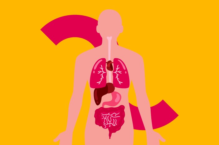 DTSS124103-151728-20251-Biomedik 2