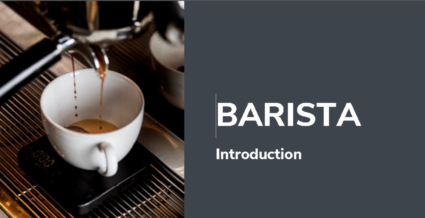 PPHD424404-20252-Barista
